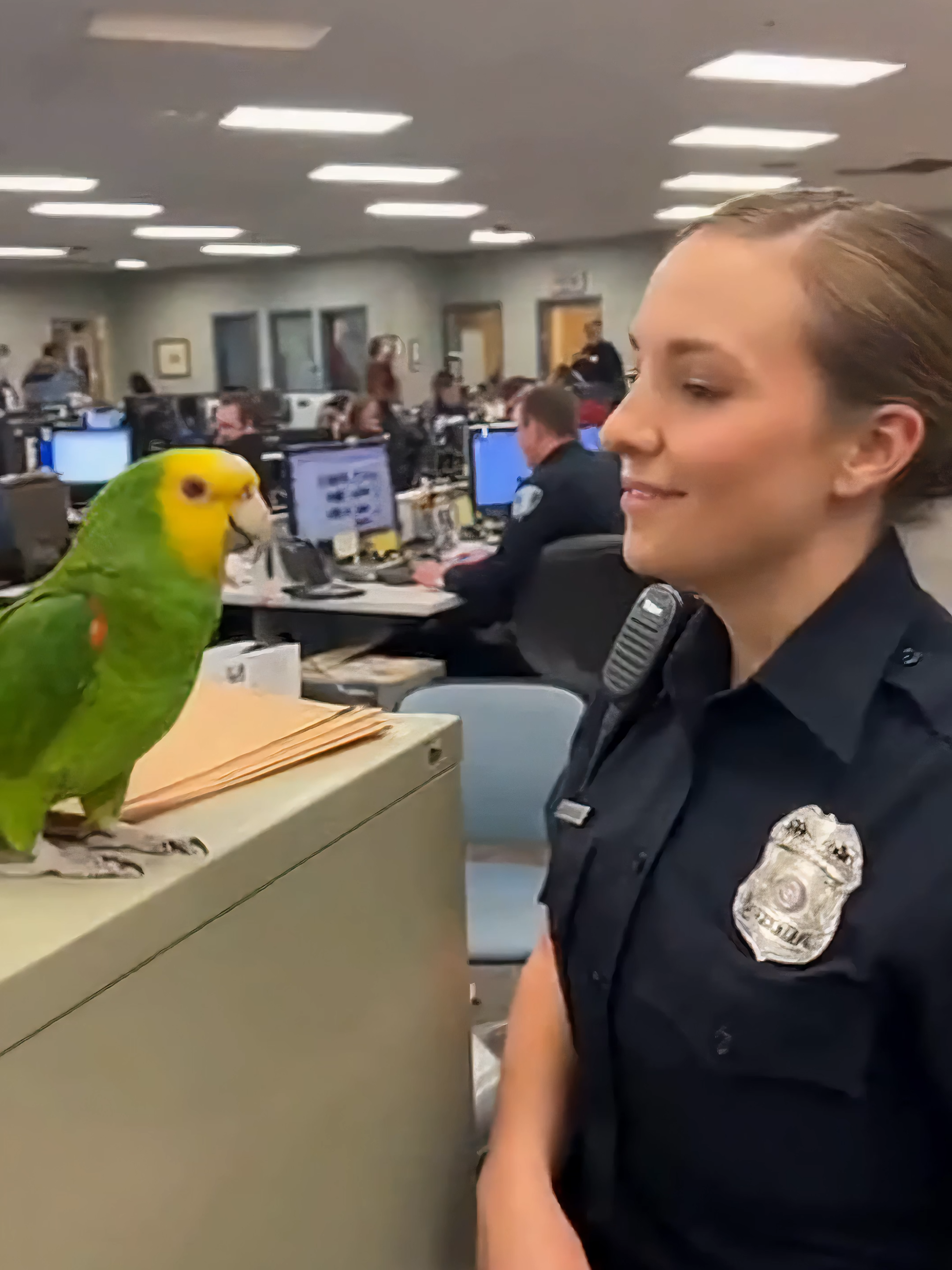 When the Police Station Parrot Starts Flirting 👀 #parrot #funnyanimals #police #lipstick #officepet