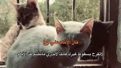 قال الإمام علي لاتفرح بسقوط غيرك فانك لاتدري ماتضم لك الأيام #حسين_بن_كربلاء #اقوال_الامام_علي_عليه_السلام #كربلاء_مدينة_العشق_والعاشقين #مقولات_الامام_علي #امير_المؤمنين #CapCut #fyp #قط 