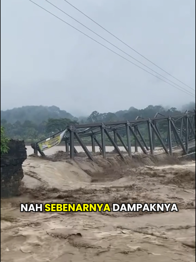 semua karna zulkiflihasan gak sih?? #zulkiflihasan #hutan #banjir #viral #fyp 