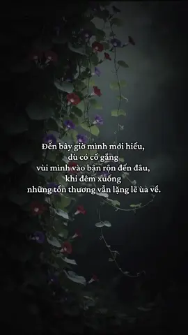 #annhien #chualanh #healing #gocNhoAnNhien 