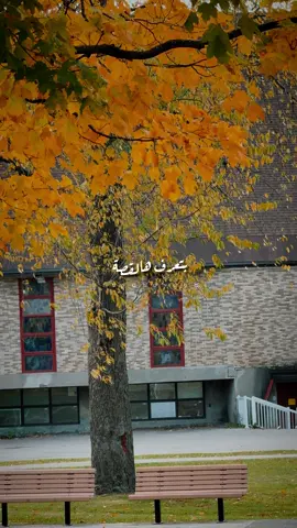 طاقة  إيجابية هالغنية🧡✨🥰