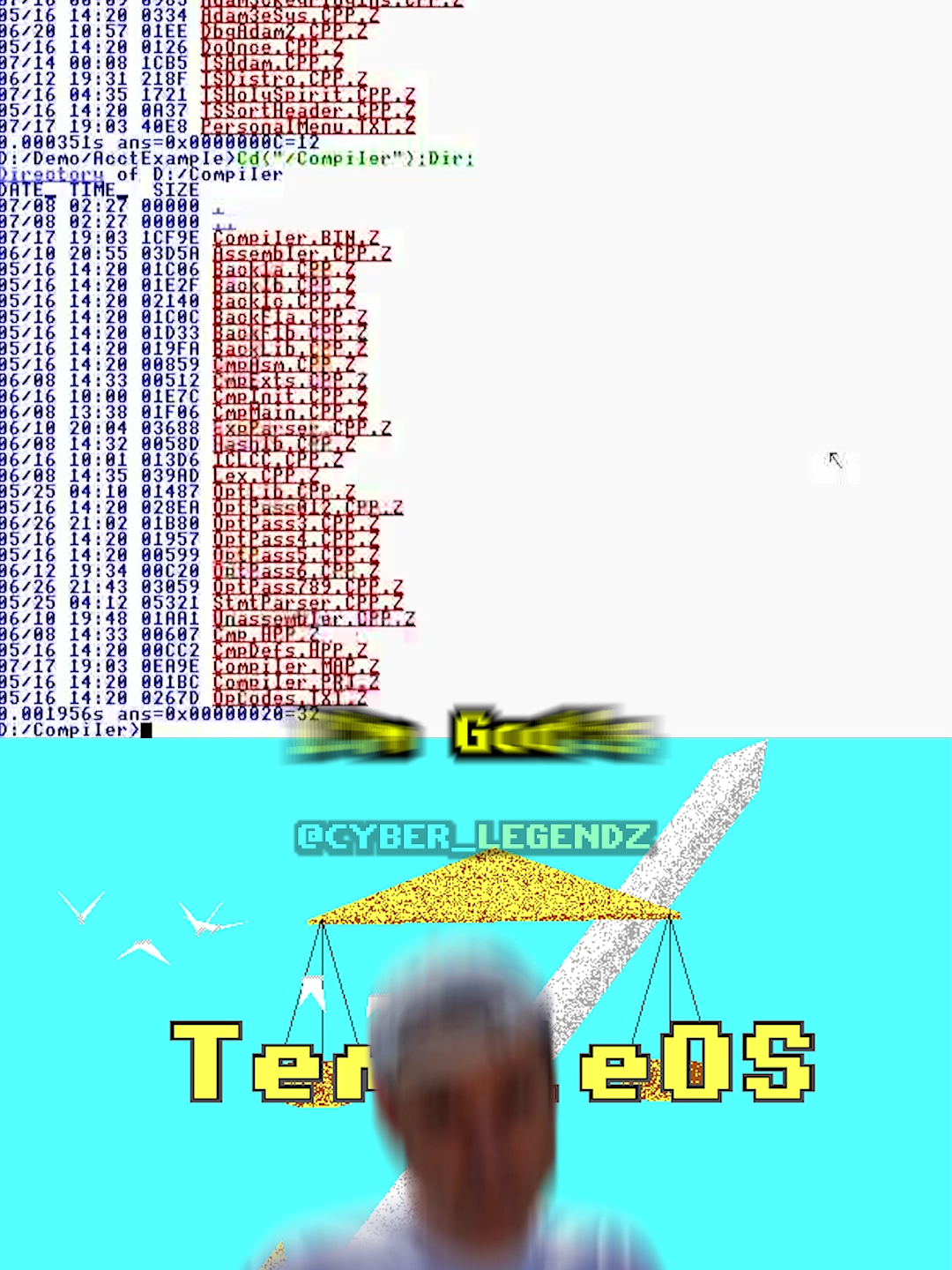 Terry Davis, the legend. #terrydavis #programming #cyber #opsec #templeos #fyp #usa