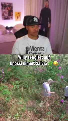 Einfach lachen 🤣🤣 | @Niklas-Wilson | #niklaswilson #niklaswilsonsommer #willy #knossi#jokoundklaas 