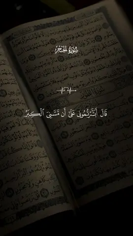 #قران_كريم #تلاوة_خاشعة #quran #quran #اكسبلور  