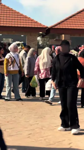 #CapCut #لايكات #اكسبلور #لايك_فولو #اكسبلورر 