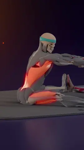 One of the BEST back-relief stretches you can do at home.
 It’s called the Forward LOVE Stretch — and if your lower back feels tight, this will feel
 unreal. When your partner pulls you forward, your hamstrings, lats, and deep spinal
 muscles all open up at the same time. This creates full posterior-chain decompression
 something you cannot achieve alone. Most people don’t even realize how much tension
 they store in their lower back until they try this. Do this slowly… breathe… and let your
 body release. It hits places normal stretches can’t reach.
 👉 Tag someone you’d trust to help you with this.
 👉 Share to help someone with back pain today.
 #backpainrelief  #stretch  #partnerstretch  #mobilitytraining  #lowbackpain 