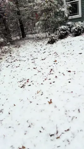 #snow  #ebike #letsride #67 