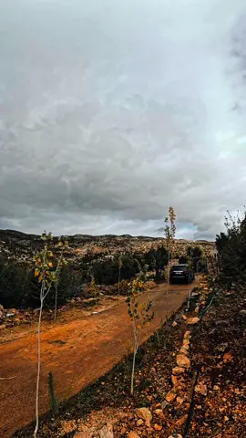 مش ضروري #زياد_الرحباني 🤍