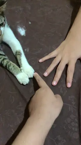 Abc 5 dasar #fyp #foryou 