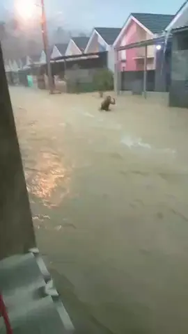 perumahan bumi villa jatiluhur#dedimulyadi #banjir #bumivillajatiluhurbanjir #fypシ゚ #purwakartabanjir 