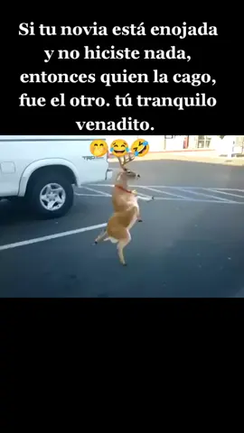 Jajaja  #recuerdos #😂😂😂 