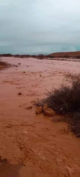 #وادي_الباب_سلوق_بنغازي #ليبيا🇱🇾 