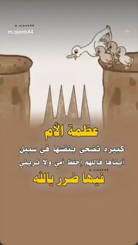 #هنا #تعرف #تضحيه #لام