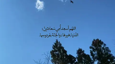 - اللهُم آميٰــٰـٰטּ .! 💙 #الحاج_باسم_الكربلائي  #مجتبى_الكعبي  #محمد_باقر_الخاقاني  #باسم_الكربلائي  #كلبك_مكاني  #لو_نويت_تروح   #أوتار_التكبير  #قصائد_حسينية   #الطميات #شعروقصايد  #اقتباسات #عبارات_حسينية #شعراء_وذواقين_الشعر_الشعبي  #اكسبلور #fypシ #viralvideo  #تصويري_احترافي #عباراتكم_الفخمه📿📌  #حسينية #حزن #كلمات_تلامس_القلب 