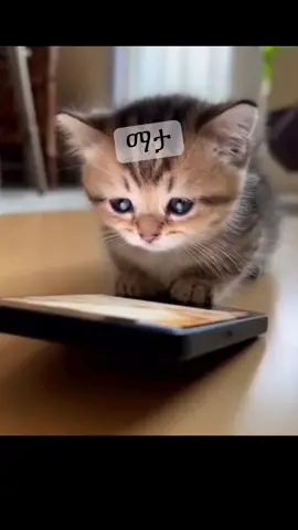 #fyppppppppppppppppppppppp #vairal_video_tiktok #comedia #v #Love 