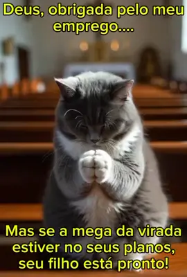 Estou pronto pode vir #gatos #fypシ゚viral #fyp #meme #tiktokviral 