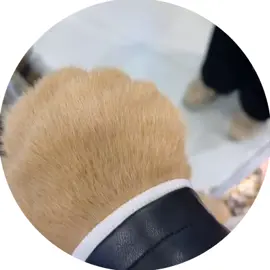 Аліна 34 рочки 🤣🤭