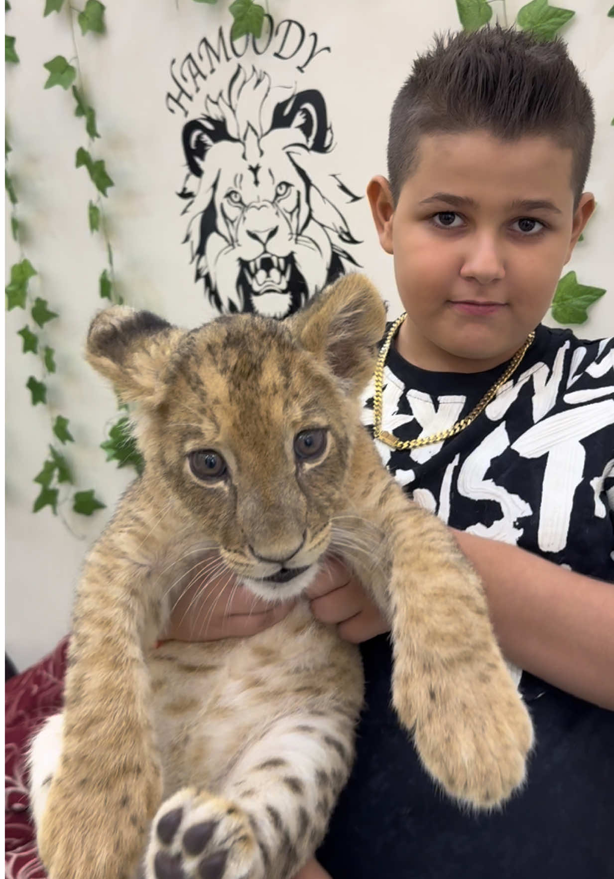 #patroanadelastrehaia #mihaelatache #mihaelatache #leodelastrehaia #alindelastrehaia 