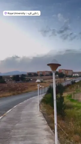 ئێــــــــوارە🥺🤎 #tik_tok #fypシ゚ #actives?? #foryoupage #koyauniversity 