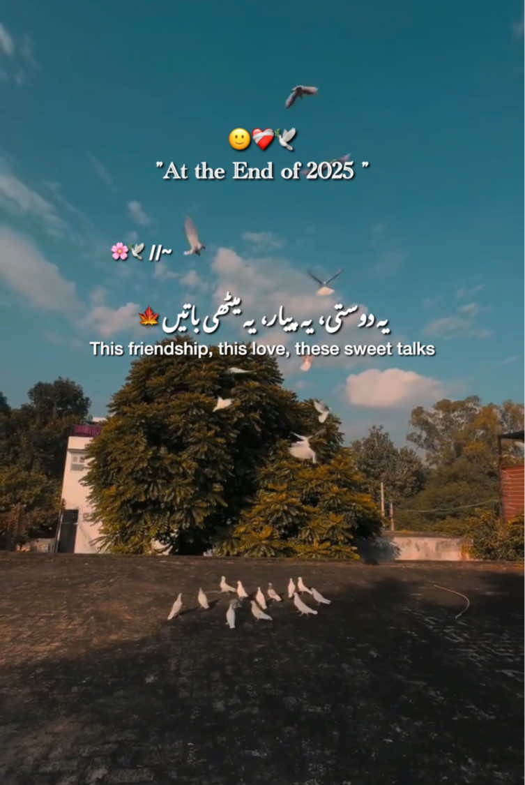 At the end of 2025 🙂❤️‍🩹 || 2025 end 💔 || The biggest lesson of this year 🌸 || Status video ✨ #fyp #2025 #end #lesson #statusvideo 