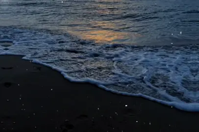 عايزين حرف مين تاني 😍💞#hair #f #عصام_صاصا_الكروان🎤🎧💓 #ااشعاب_الصيني_ماله_حل😂😂 #bts 