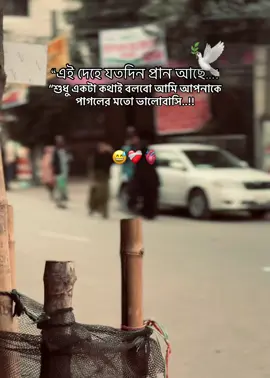 এই দেহে যতদিন প্রান আছে শুধু একটা কথাই বলবো,আমি আপনাকে পাগলের মতো ভালোবাসি