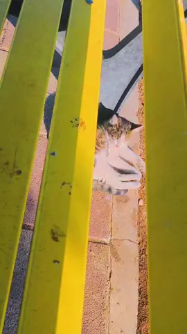 وتەیەک بنووسە ئەو وتەی زۆرترین لایکی بۆ هات دەینووسمەوە✒️🤍#هەولێر_سلێمانی_دەهۆک_ڕانیه_کەرکوک #خۆشنوسەکەی_پارکی_هەوار #فیراقی #وتەی_جوان #foryou 