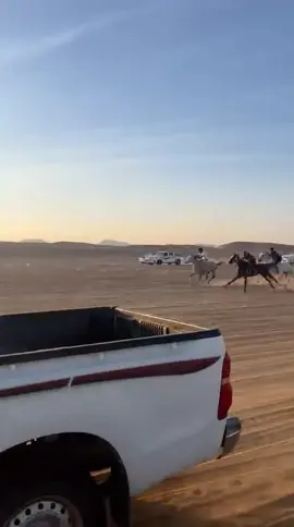 ‏أعجب سباق قد شفته طرد خيول عبيده بالمواتر 