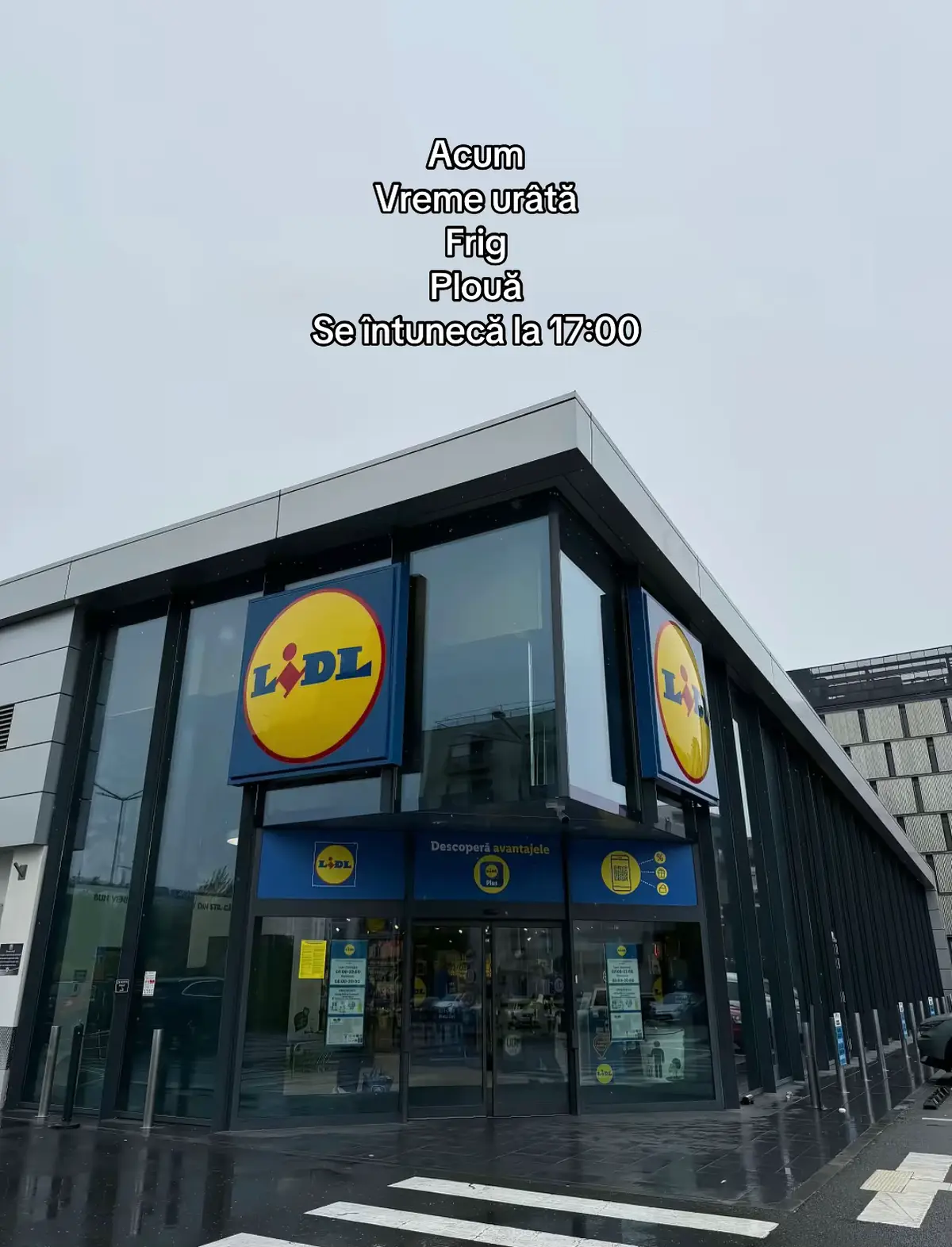 Missing lil’ Lidl so bad. 🥲🥲 #LidlRomania #lidl #fyp #thislidllife #lillidl 