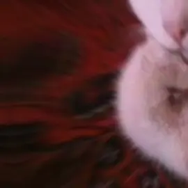 love srr 😂👍🏻