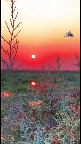 مصطفى الشويلي💔بادي وياك ابطيب موسى📸#تصويري #تصويري_احترافي_الاجواء👌🏻🕊😴 #جواد الساعدي#اغاني #موال دمج شعر