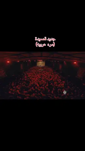 مره عربيه ملا امجد الشغانبي #ملا_امجد_الشغانبي #اكسبلور #اعادة_النشر🔃 #جديد #مشاهير_تيك_توك 