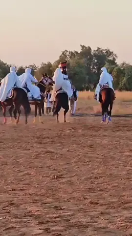 #فرسان_ليبيا  #ايعوض__الله__خير_  #اكسبلور_explored  @احمد محمد #‏إن شاء الله ربي يعوض خير 🤲🏻🤍