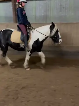 Luvvv this song!!!! #fyp #cobss #horses 