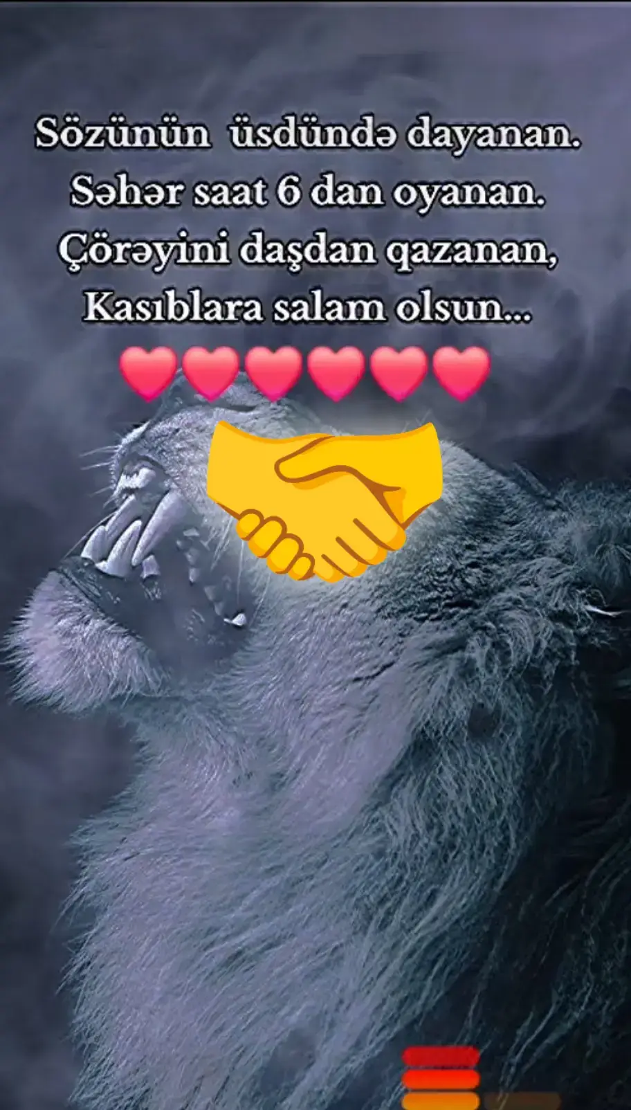 #LIVEIncentiveProgram #LIVEFEST2025 #MakeLIVECount #PaidPartnership #fypシ゚ #fypage 