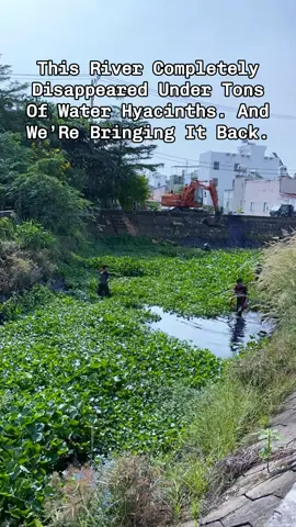 #cleanriver #clean #river #garbage #fyp 