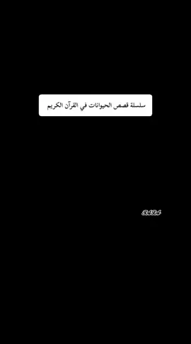 #قصص-الحيوانات-في-القرآن-الكريم#قران_كريم #حكم #اسلام #اكسبلور 