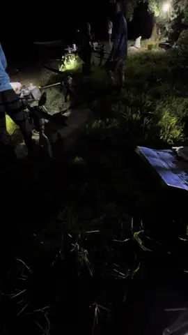 Có con t70p nào chấp 2 con t5 chục tui ko