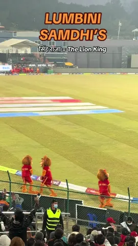 Lumbini Lions Mascot  सिंह राजा / The Lion King  Kavreli Samdhis ❌ Lumbini Samdhis ✅ Nepal Premiere League Season 2 #LumbiniLions vs #JanakpurBolts #NPL #Dance #Fun 