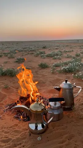 #احنا_الفرشنا_الهلا_وبالضيف_مرحبنا#راكان_الجبوري___ 