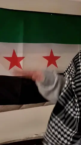 صاقت صاقت 💚♾️ #🇸🇾 #سوريا #اغاني_سورية #بشار 