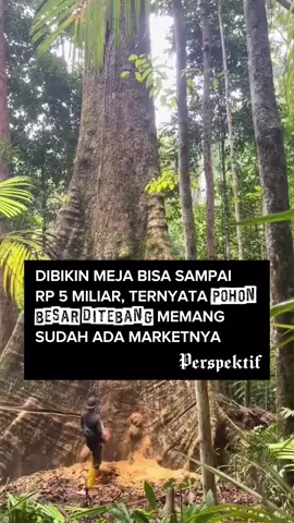 Kayu dari Batang pohon ratusan tahun bisa disulap menjadi meja seharga 5 Milyar Rupiah😱 Gak semua mesti dinilai pakai uang gak sih, si*l*n banget cara kerja dunia ini😡 Via: @perspektif