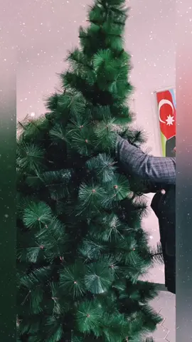 Qarşıdan gələn Yeni il münasibətilə ilə Xocalı rayon Ballıca kənd tam orta ümumi təhsil məktəbində fidan balaların iştirakı ilə ilk şam ağacı bəzəndi. Bu qürur, sevinc dolu günlər üçün Ali Baş Komandanımıza can sağlığı, şəhidlərimizə Allahdan rəhmət, qazilərimizə isə şəfa arzulayırıq.