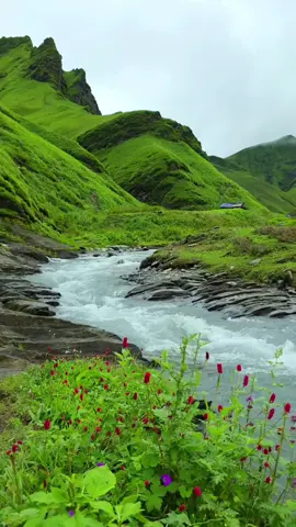 #اكسبلور #تلاوه_خاشعه 