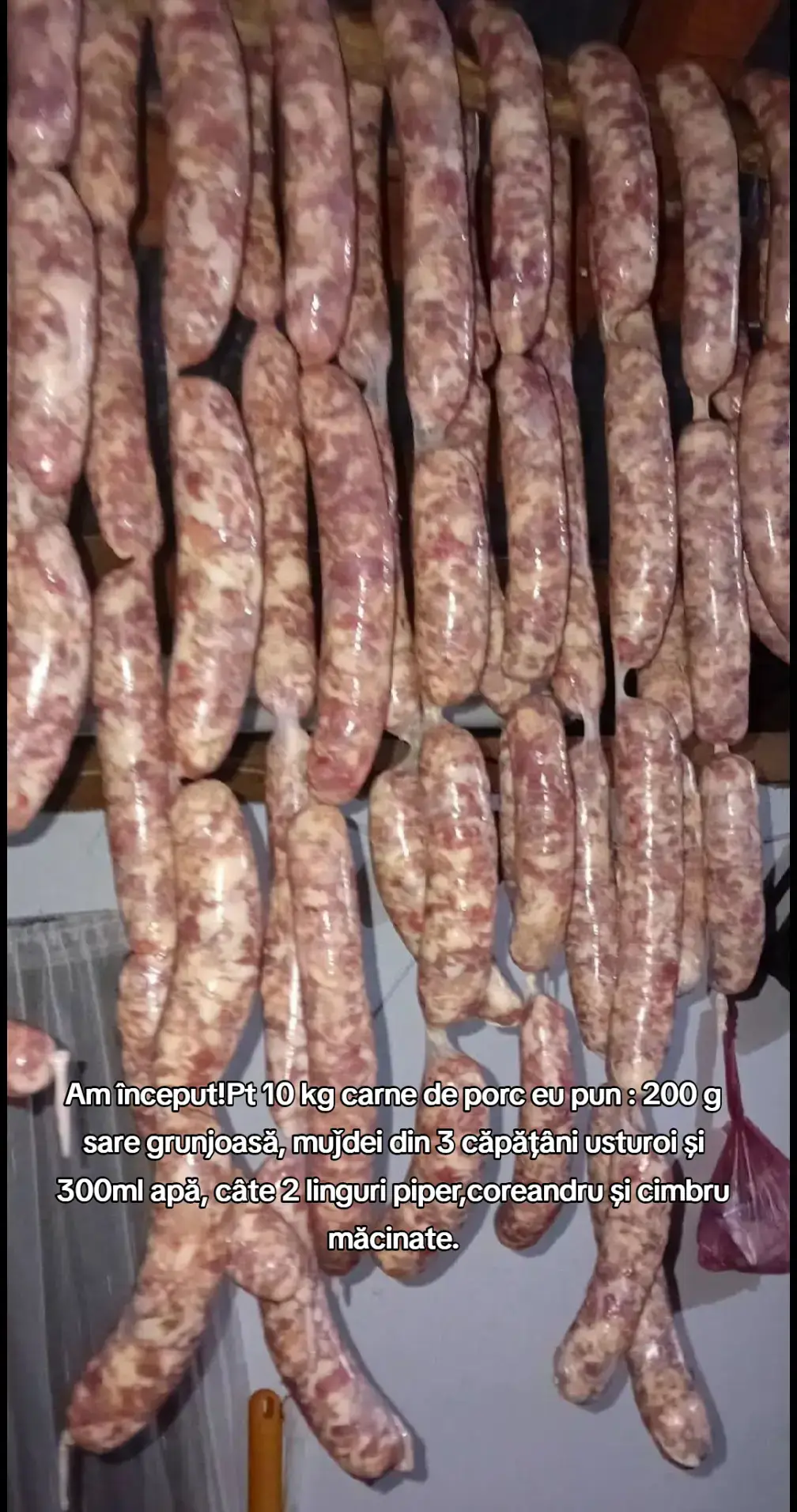 Am început!Pt 10 kg carne de porc eu pun : 200 g sare grunjoasă, muǰdei din 3 căpățâni usturoi și 300ml apă, câte 2 linguri piper,coreandru și cimbru măcinate.