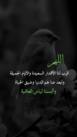 #اللهم_امين #اعادة_النشر🔃 #اكسبلورر #اقتباسات #عبارات 