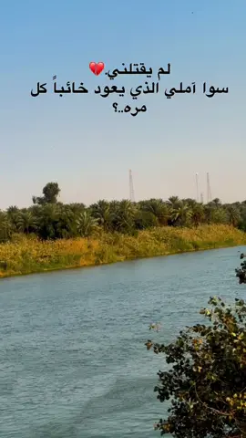 #عبارات #شعر  #شعروقصايد  #شعراء_وذواقين_الشعر_الشعبي 