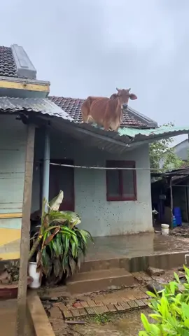 December - neckdeep #neckdeep #december #sound #fyp #foryou 