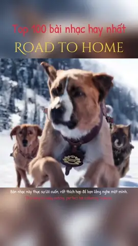 This song is really catchy, perfect for listening to alone. Bản nhạc này thực sự lôi cuốn, rất thích hợp để bạn lắng nghe một mình. Эта песня действительно запоминающаяся, идеально подходит для прослушивания в одиночестве. Это фильм «Зов предков».Thank you so muck . Wish you listing music oly happy .God bless for all 😍🎶🎶❤️❤️✌️✌️✌️🙏🏻🙏🏻🙏🏻🙏🏻🙏🏻 #music #top100  #nhachaymoingay #musictherapy #thecallofthewild 