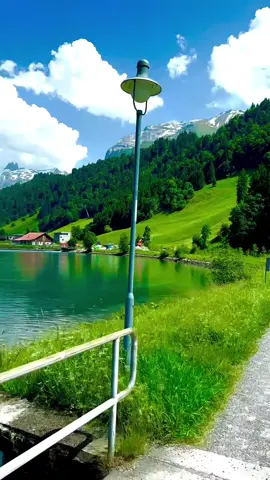 #واذا_مرضت_فهو_يشفين🤲 #عبدالله_الموسى_تلاوات_خاشعه_الطبيعه_الخلابه #اجمل_مناظر_طبيعية_خلابه_ساحره_في_العالم_سويسرا_النرويج_ايسلند #راحه_نفسيه🖤🎧 #المناظر_الطبيعيه_الخلابه 